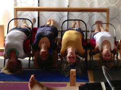 Praxis Seminar -  Üben mit  dem Yoga Stuhl, 28. November